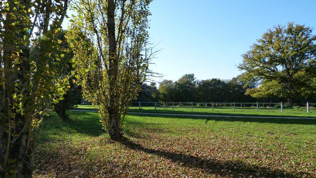 Le Chateau De La Brosse Bed and Breakfast Brinay  Exteriör bild