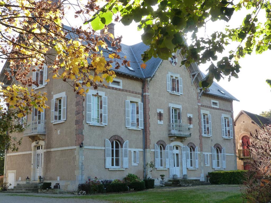 Le Chateau De La Brosse Bed and Breakfast Brinay  Exteriör bild