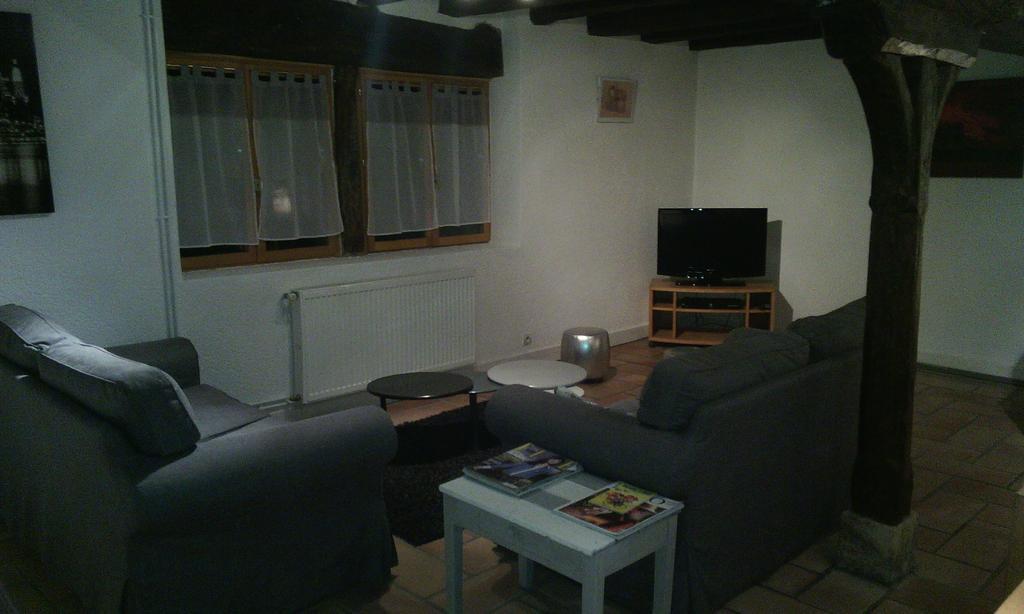 Le Chateau De La Brosse Bed and Breakfast Brinay  Rum bild
