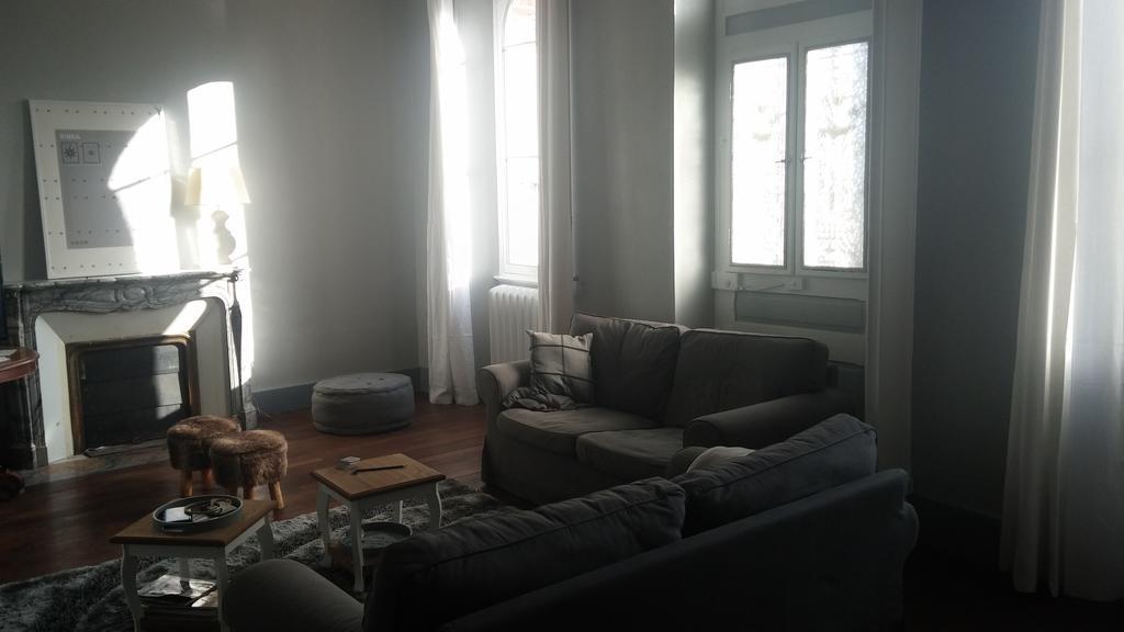 Le Chateau De La Brosse Bed and Breakfast Brinay  Exteriör bild