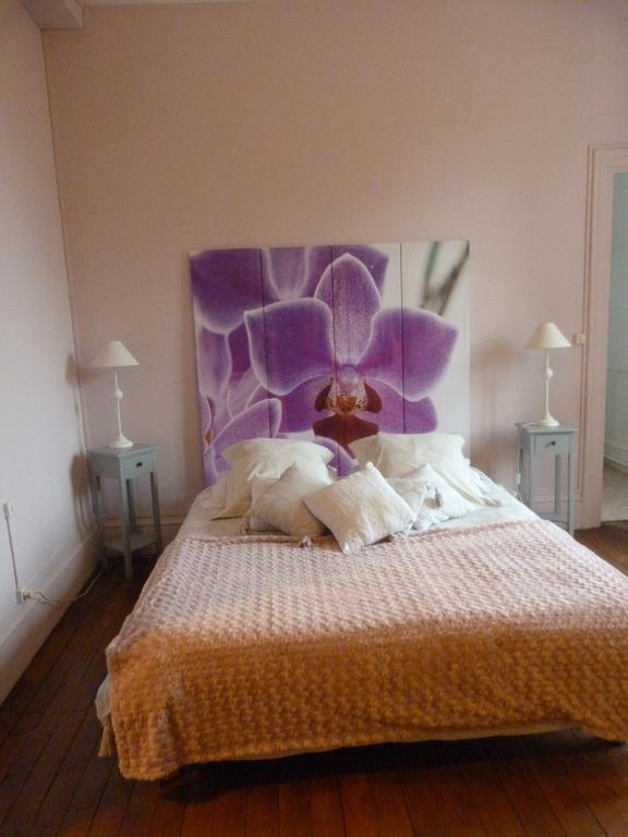 Le Chateau De La Brosse Bed and Breakfast Brinay  Exteriör bild
