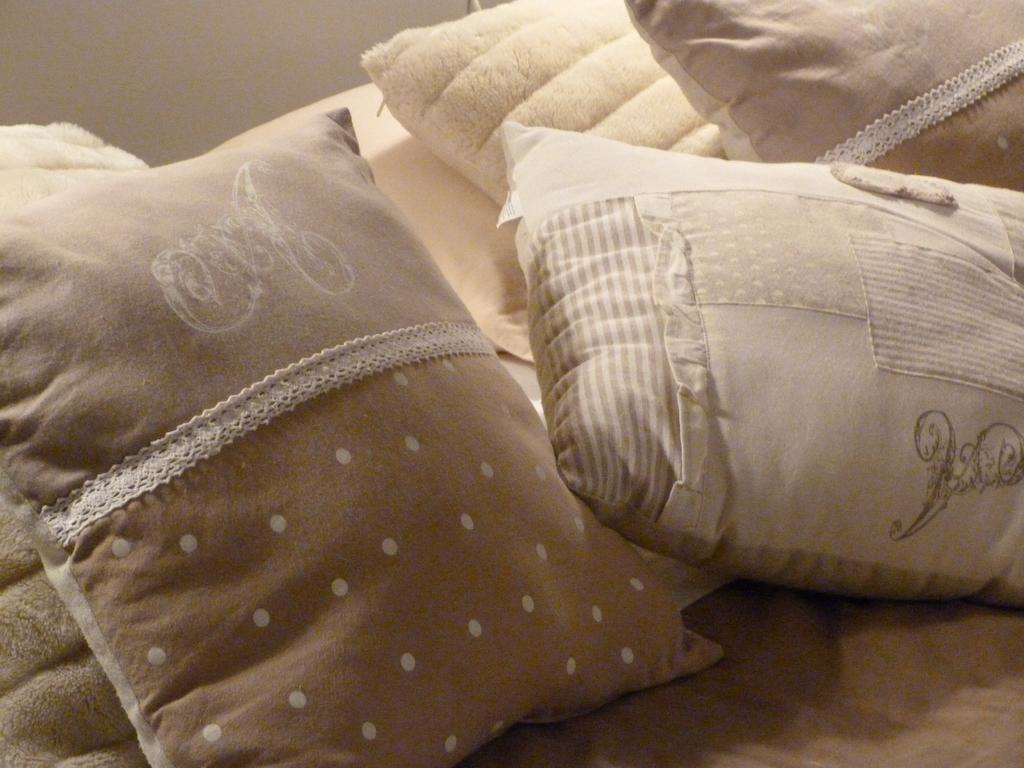 Le Chateau De La Brosse Bed and Breakfast Brinay  Rum bild