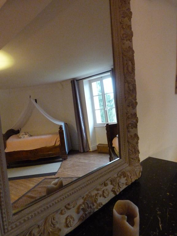 Le Chateau De La Brosse Bed and Breakfast Brinay  Exteriör bild