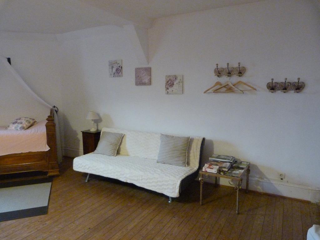 Le Chateau De La Brosse Bed and Breakfast Brinay  Rum bild