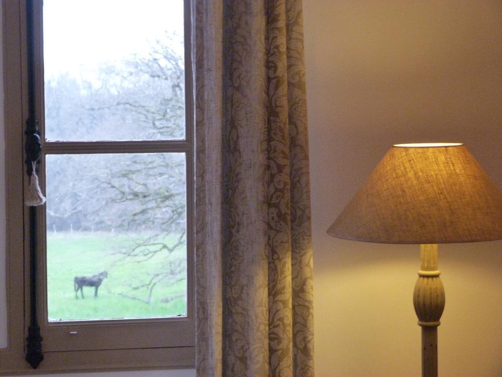 Le Chateau De La Brosse Bed and Breakfast Brinay  Exteriör bild