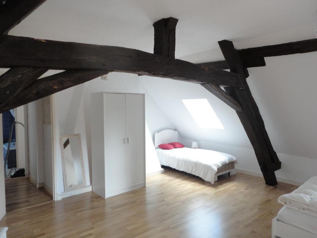 Le Chateau De La Brosse Bed and Breakfast Brinay  Rum bild