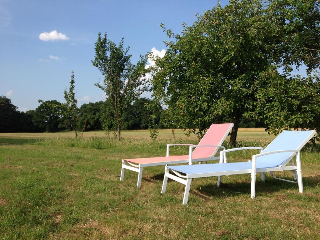 Le Chateau De La Brosse Bed and Breakfast Brinay  Exteriör bild