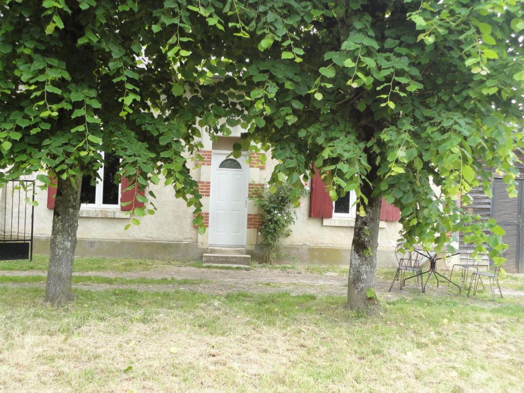 Le Chateau De La Brosse Bed and Breakfast Brinay  Rum bild